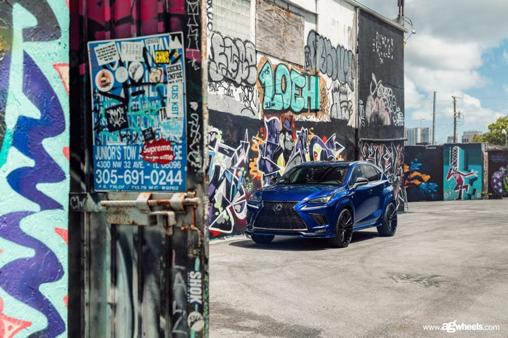 LEXUS RX350 F SPORT on custom forged wheels