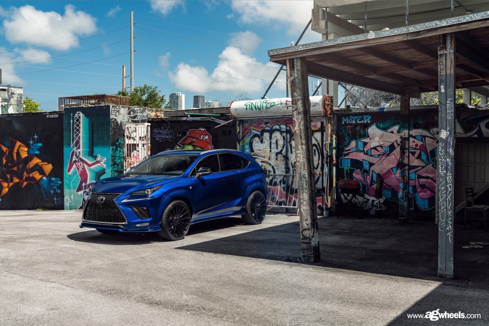 LEXUS RX350 F SPORT on custom forged wheels