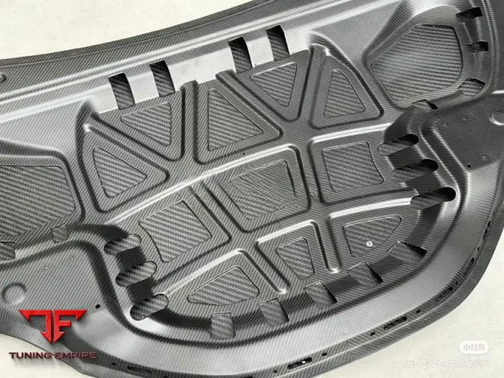 LOTUS ELETRE CARBON HOOD