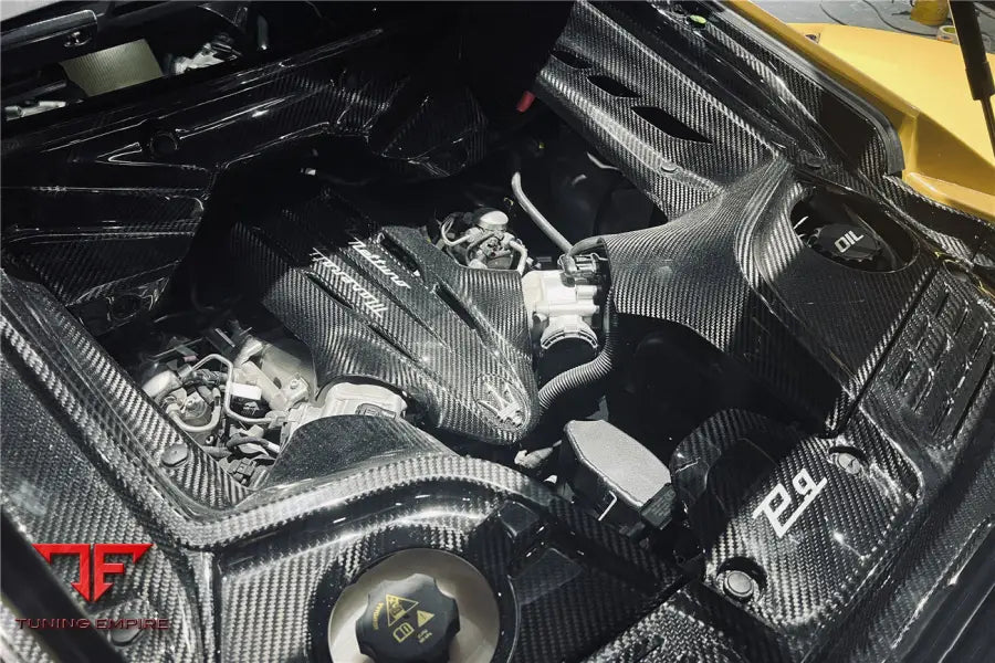MASERATI MC20 DRY CARBON FIBER ENGINE BAY ROOM INTERIOR