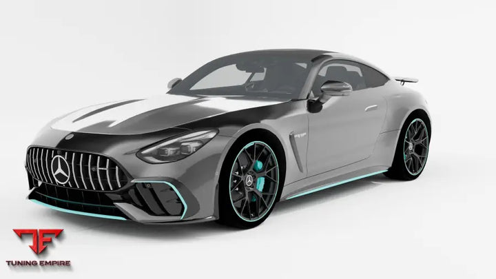 MERCEDES AMG GT 63 PRO MOTORSPORT Collectors Edition CARBON SET C192