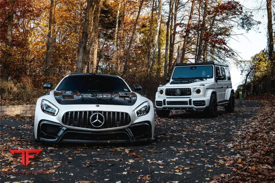 MERCEDES BENZ AMG GT & GTS & GTC IMP PERFORMANCE FRONT BUMPER GRILLE BSD