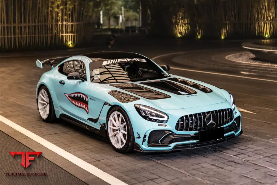 MERCEDES BENZ AMG GT & GTS & GTC & GTR IMPII PERFORMANCE CARBON FIBER HOOD BSD