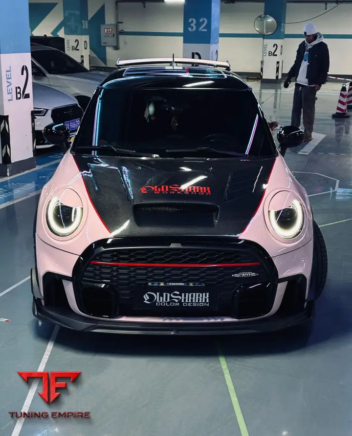 MINI COOPER JCW F56 & COOPER LCI 2022-ON AE HOOD - Hood