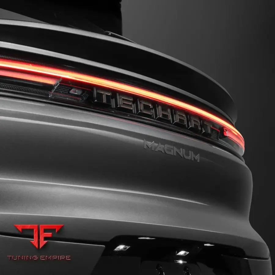 TECHART REAR LETTERING FOR E 3.2