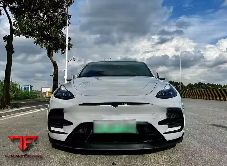 TESLA MODEL Y CARBON BODY KITS PARTS
