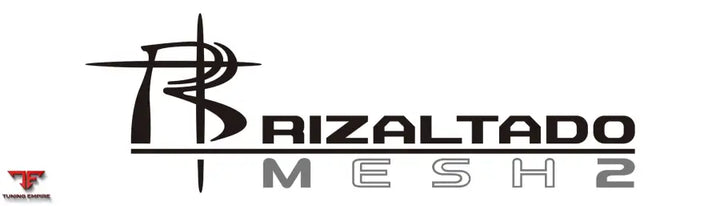 WORK RIZALTADO MESH2 fitted